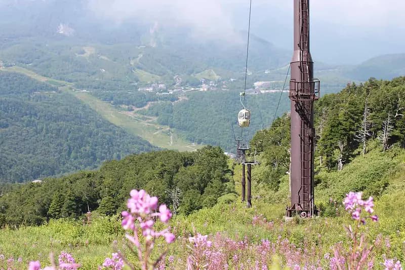 Shiga Kogen Highland