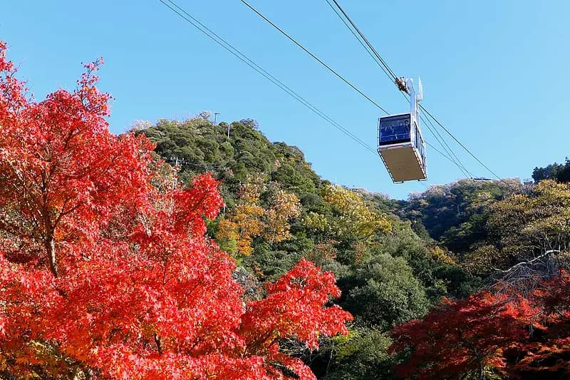 Mt. Kinka Ropeway