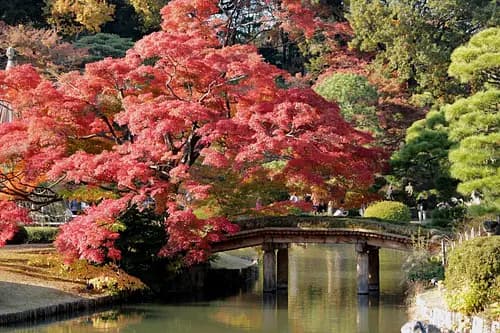 Rikugien Garden