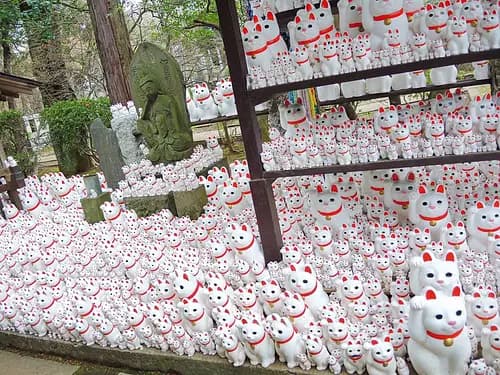 豪徳寺