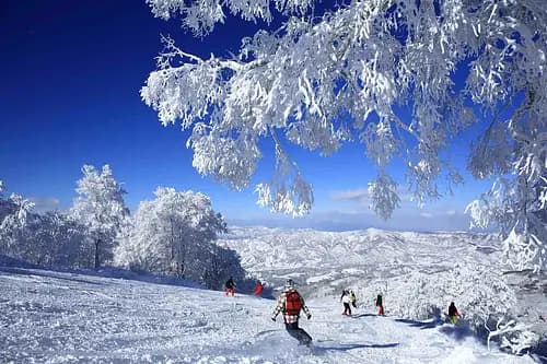Nozawa Onsen Snow Resort