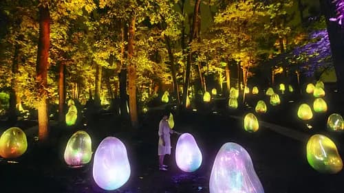 Musashino Woods Park