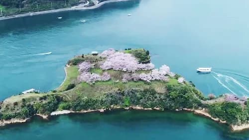 Visit Noshima, a cherry blossom Island and a historic site