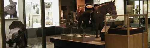 Wakayama City Museum