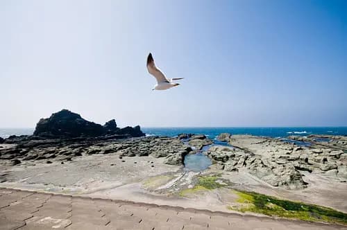 Senjojiki Kaigan Coast