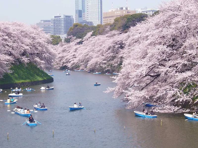 Chidorigafuchi Moat