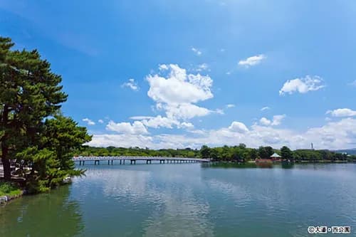 Ohori Park, the place that takes you to an adventure of nature, culture, and history