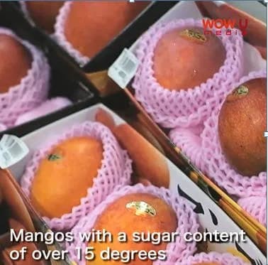 10 Must Buy Souvenirs in Okinawa (1)